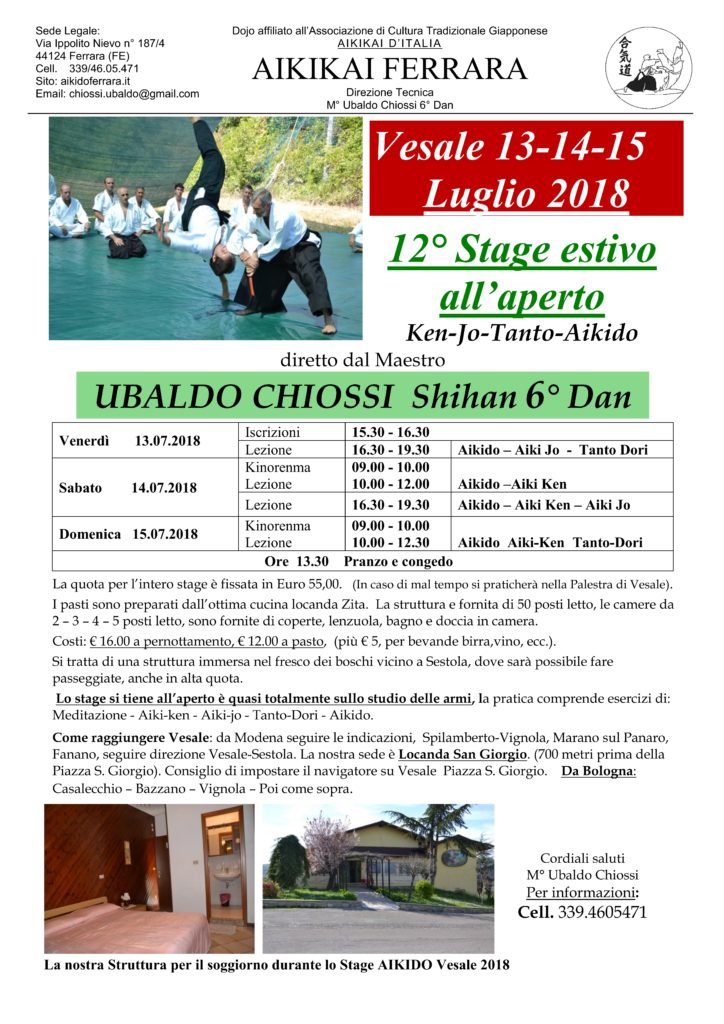 Locandina stage Vesale 2018